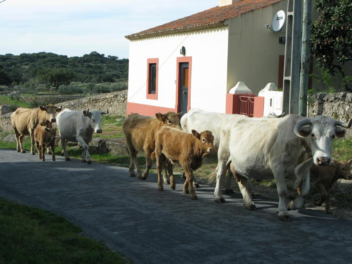 Casas Da Estacao, Country Houses Marvao  Room photo